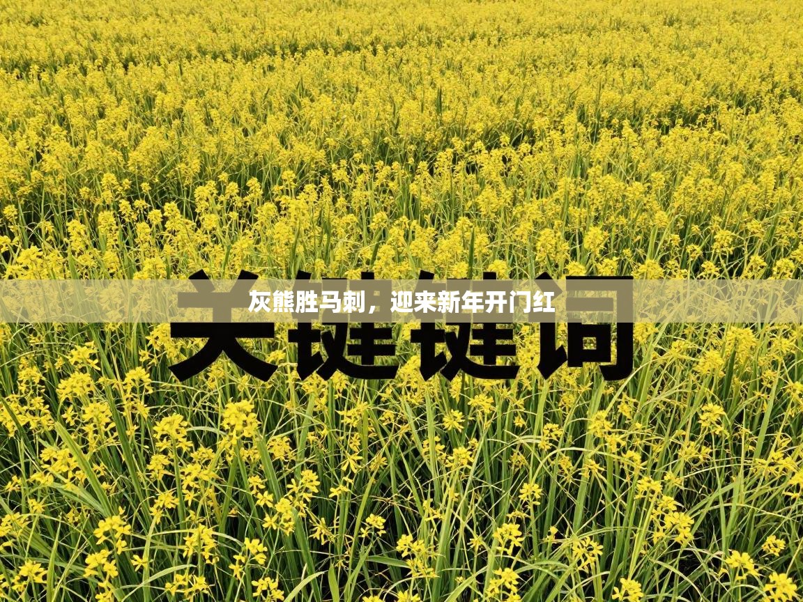 灰熊胜马刺，迎来新年开门红  第2张