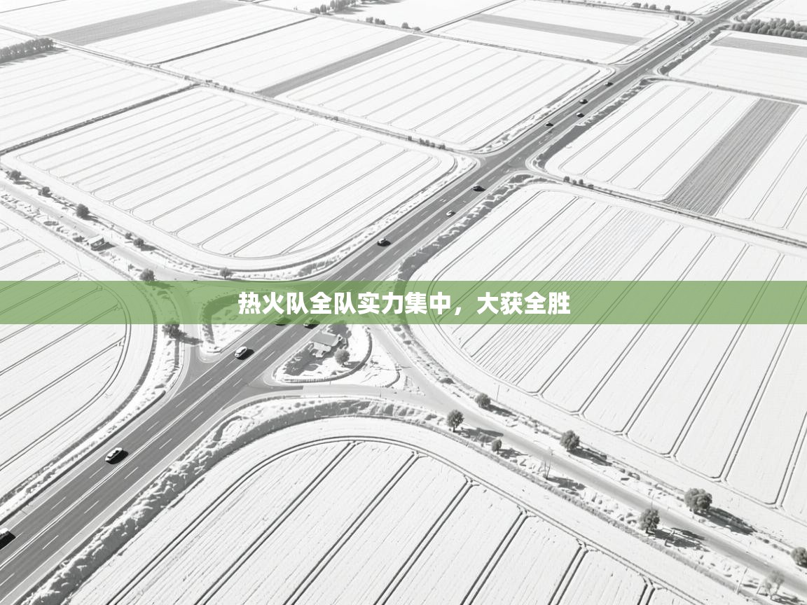 热火队全队实力集中，大获全胜  第1张