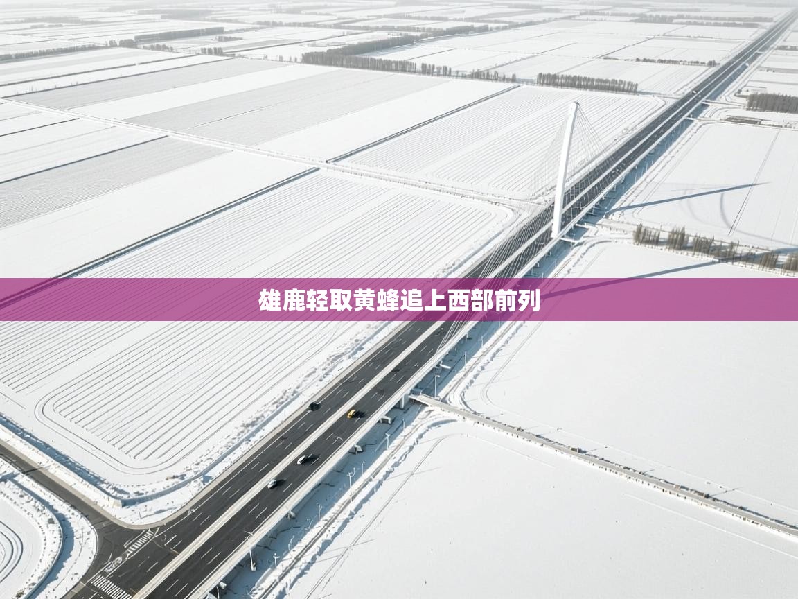 雄鹿轻取黄蜂追上西部前列 第1张