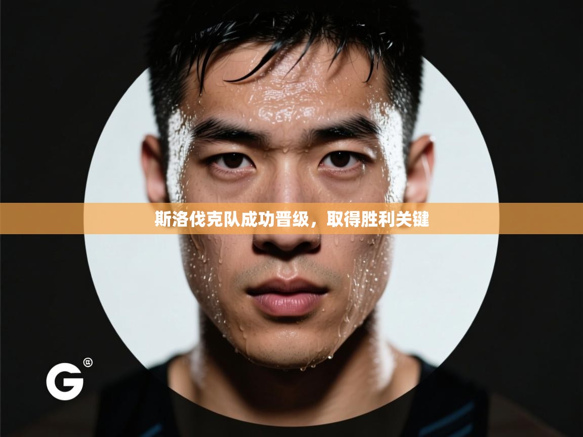 斯洛伐克队成功晋级,取得胜利关键 第1张