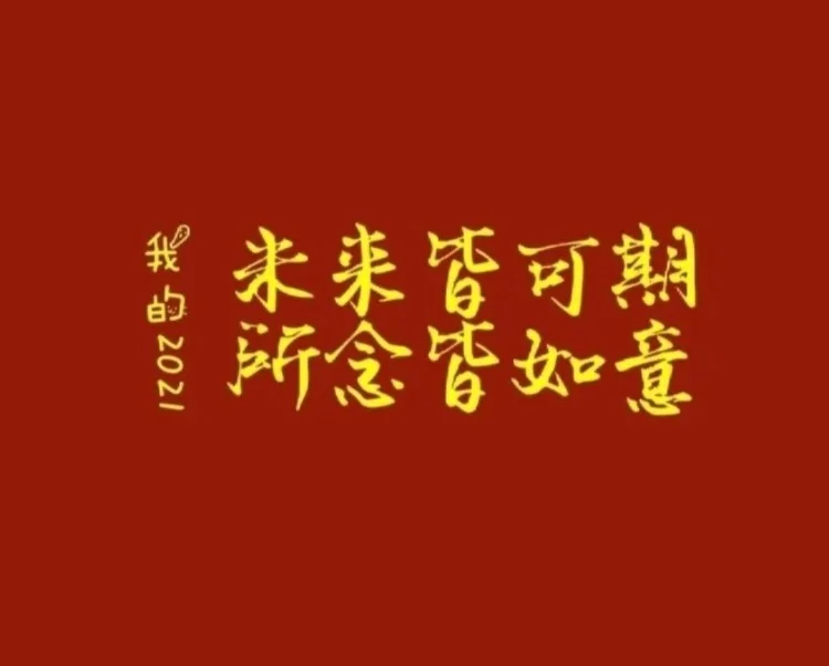 关于小牛队新秀突飞猛进，未来可期！的信息